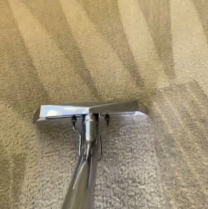 Steam Master DFW Carpet & Tile Cleaning | 5600 Desert Willow Ct, Fort Worth, TX 76137 | Phone: (817) 575-7395