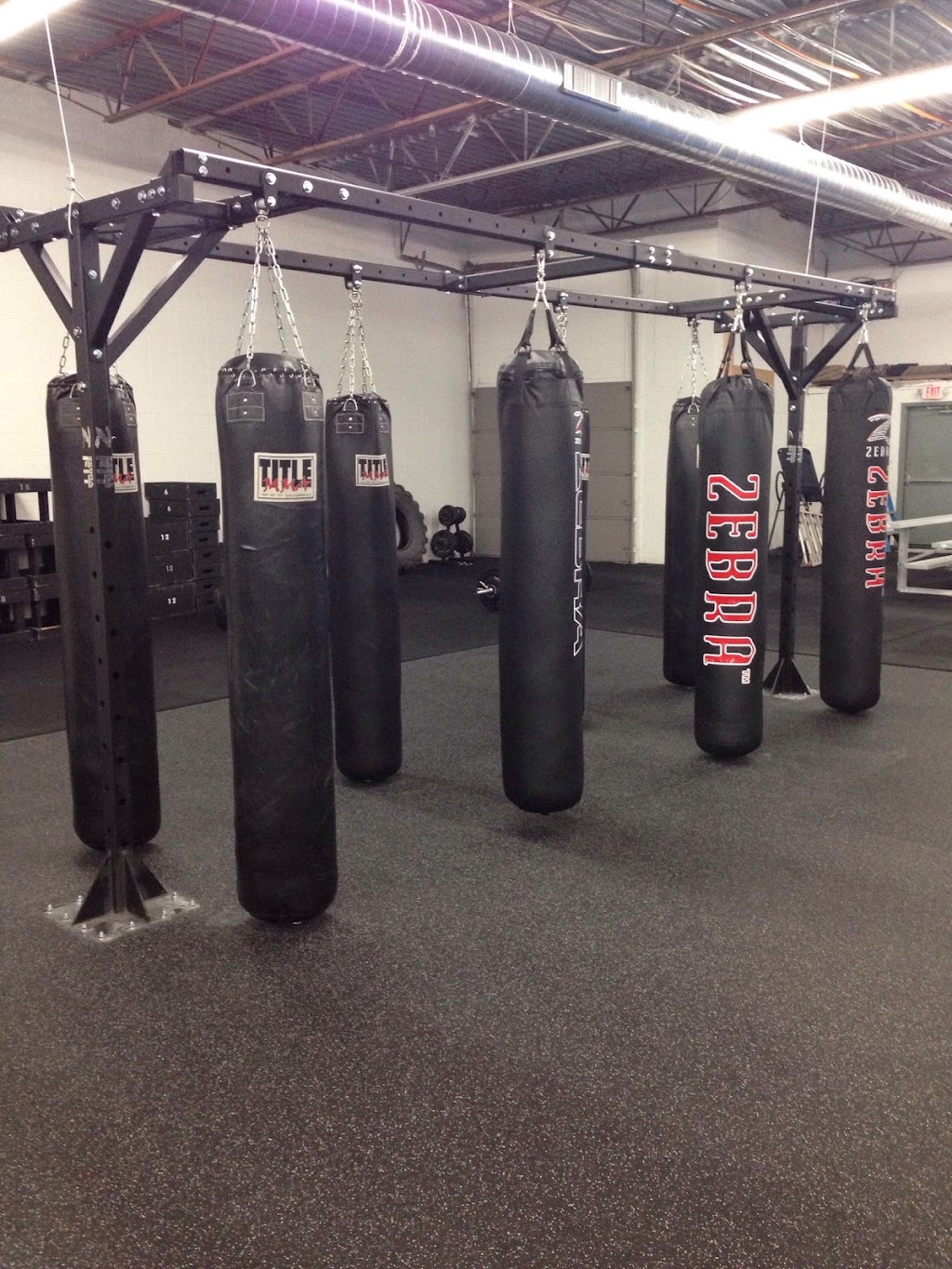 Pro Fitness Training | 7116 Shady Oak Rd, Eden Prairie, MN 55344, USA | Phone: (952) 942-7227