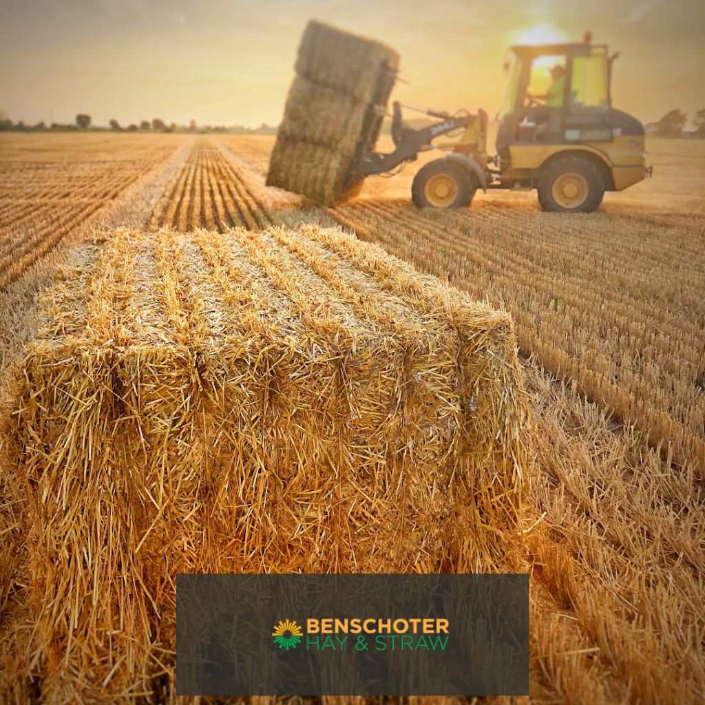 Benschoter Hay and Straw | 7298 Cloverdale Rd, Cygnet, OH 43413, USA | Phone: (419) 265-0017
