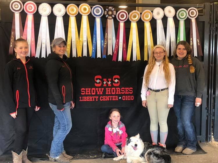 sns show horses | U-573, Co Rd 4, Liberty Center, OH 43532, USA | Phone: (856) 381-7305