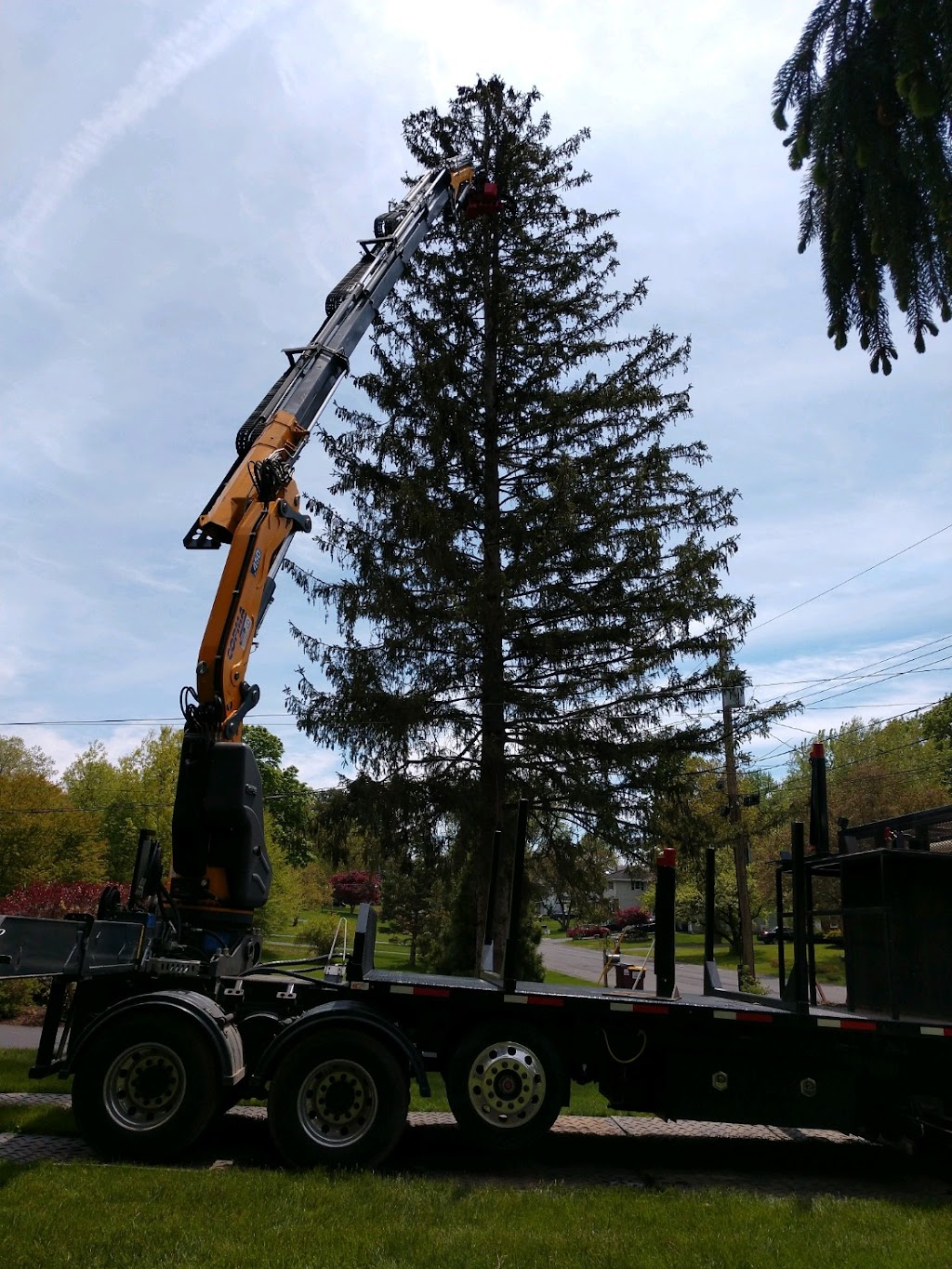 Clear Choice Tree Service | 1525 Crescent Rd Suite 1, Clifton Park, NY 12065, USA | Phone: (518) 470-6705