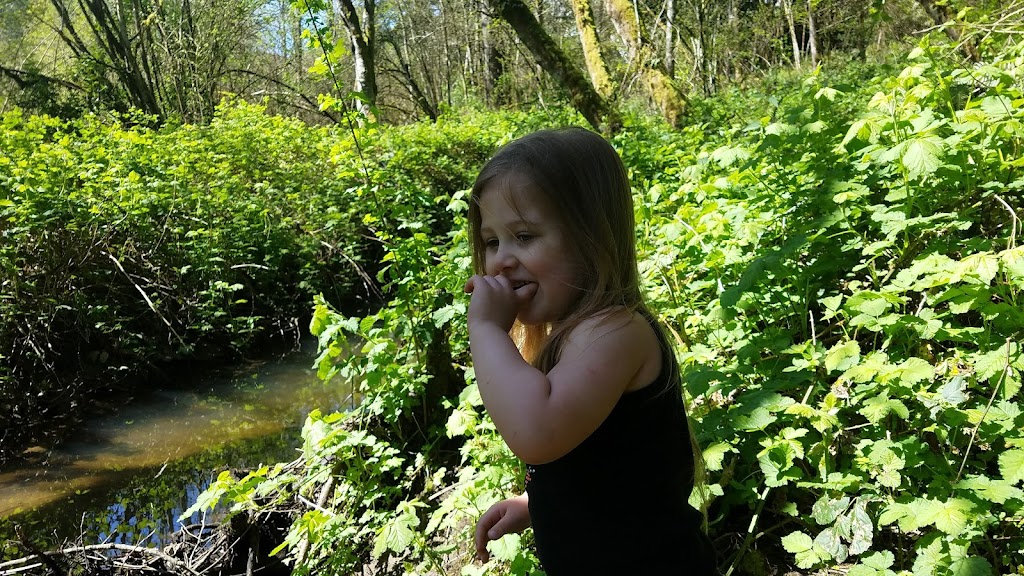 Wilsonville Canyon Creek Park | 26610 SW Canyon Creek Rd, Wilsonville, OR 97070, USA | Phone: (503) 783-7529