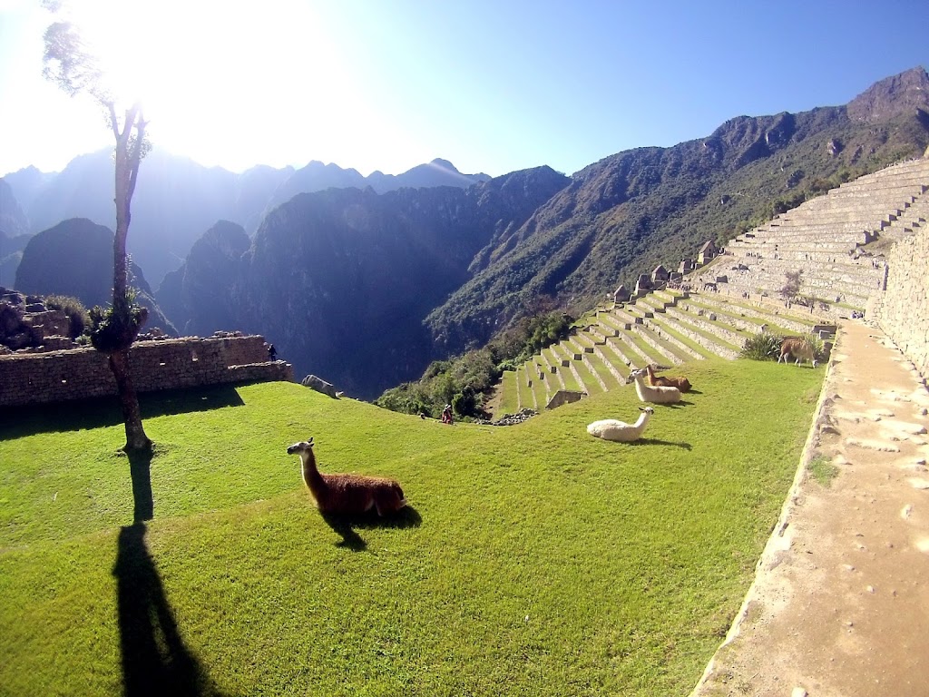 UAlbany Education Abroad | Science Library G40, 1400 Washington Ave, Albany, NY 12222, USA | Phone: (518) 591-8172