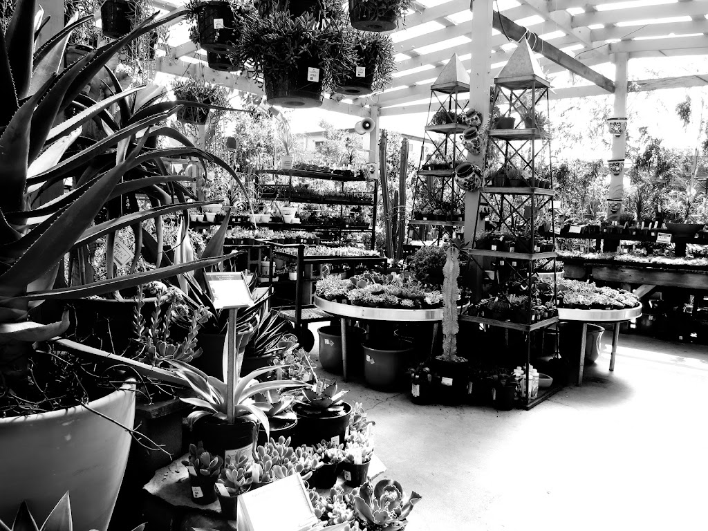 East Bay Nursery | 2332 San Pablo Ave, Berkeley, CA 94702, USA | Phone: (510) 845-6490