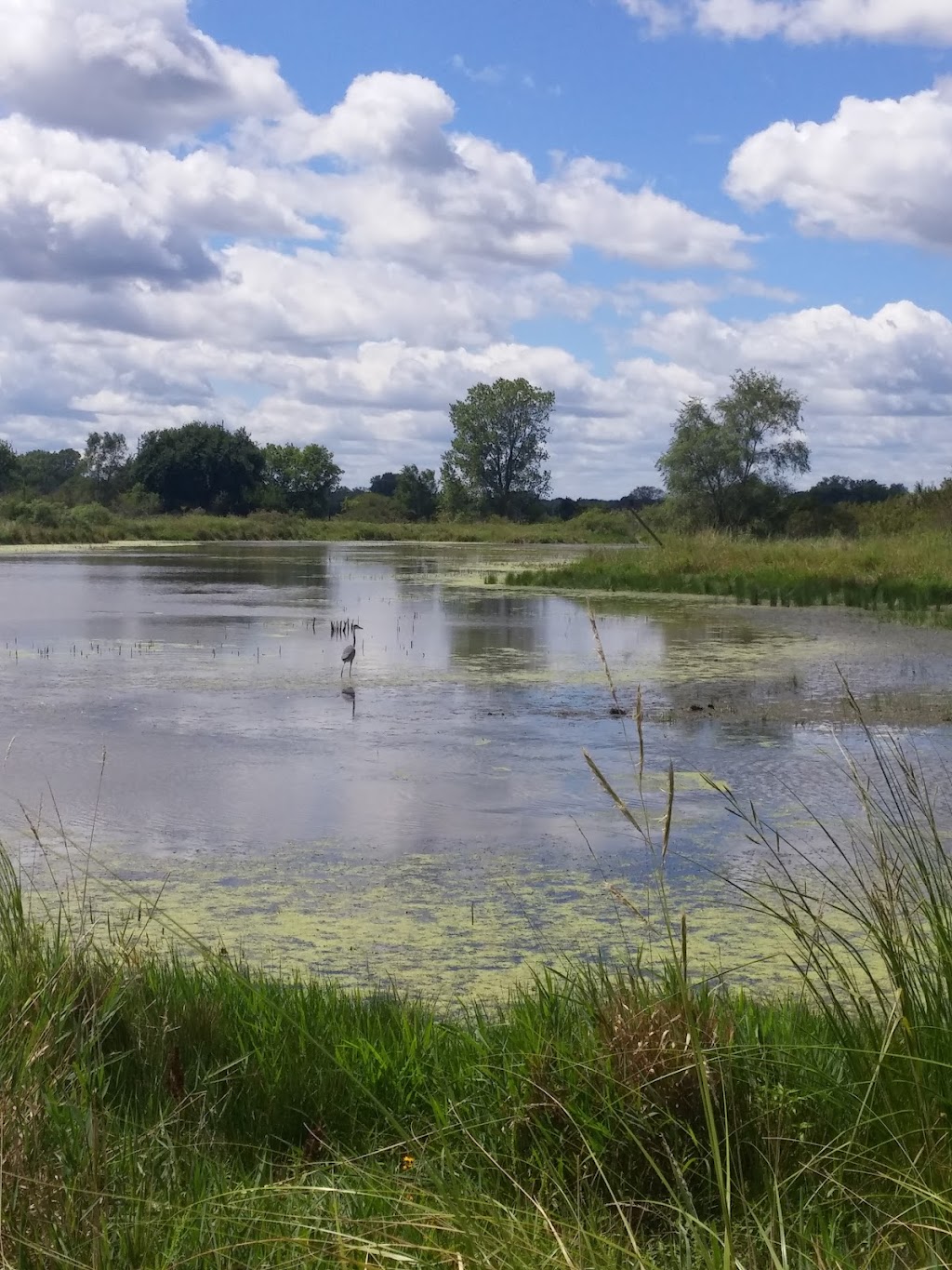 Pioneers Park Nature Center | 3201 South Coddington, Lincoln, NE 68522, USA | Phone: (402) 441-7895