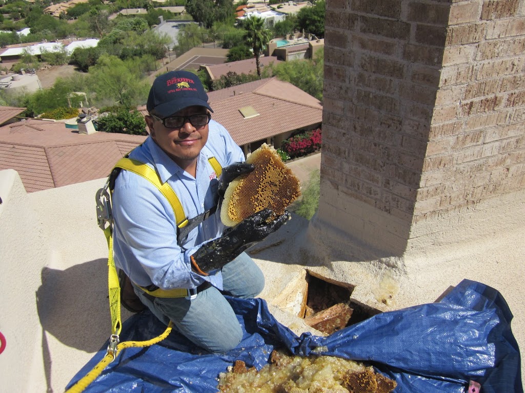 The Beekeeper Total Bee Control Inc | 4422 W Turquoise Ave, Glendale, AZ 85302, USA | Phone: (623) 587-4700