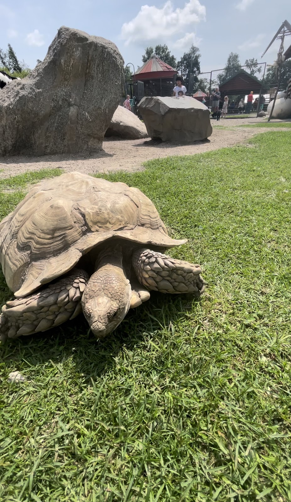 Dutch Creek Farm Animal Park | 6255 N 1000 W, Shipshewana, IN 46565, USA | Phone: (260) 768-4416