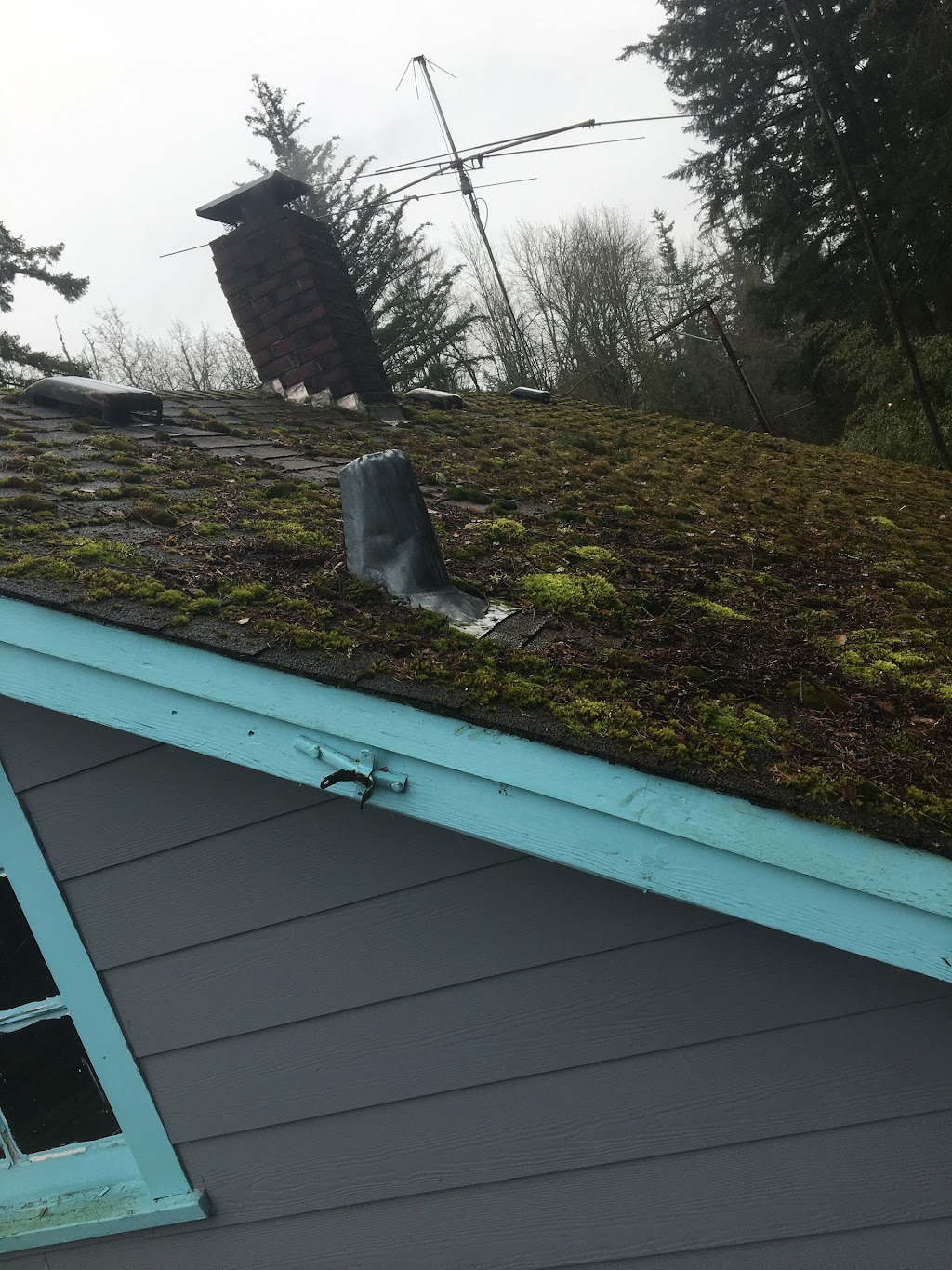 Northpeak Roof Cleaning LLC | 13401 Dana Ln E, Puyallup, WA 98373, USA | Phone: (253) 678-9565