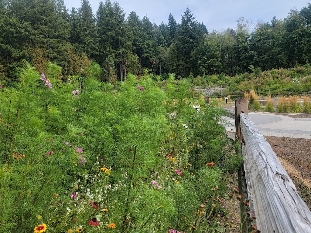 Whispering Firs Stormwater Park - Kitsap County | 12354 Silverdale Way NW, Silverdale, WA 98383, USA | Phone: (360) 337-4678