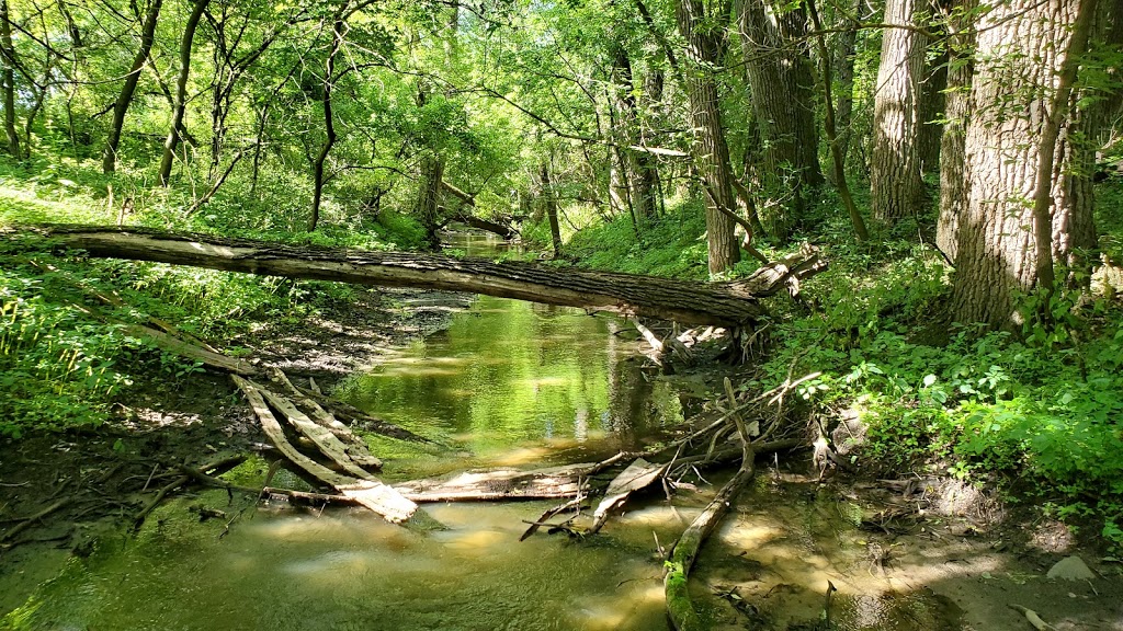 Badfish Creek State Wildlife Area | Old Stone Rd, Madison, WI 53711 | Phone: (888) 936-7463