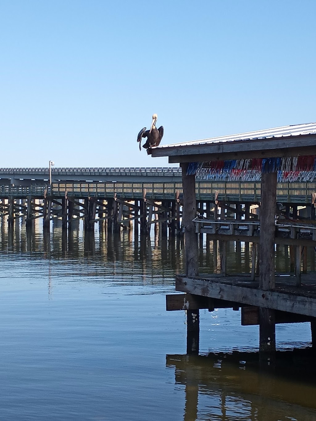 Bridge Side Cabins and Marina | 1618 LA-1, Grand Isle, LA 70358, USA | Phone: (985) 787-2418