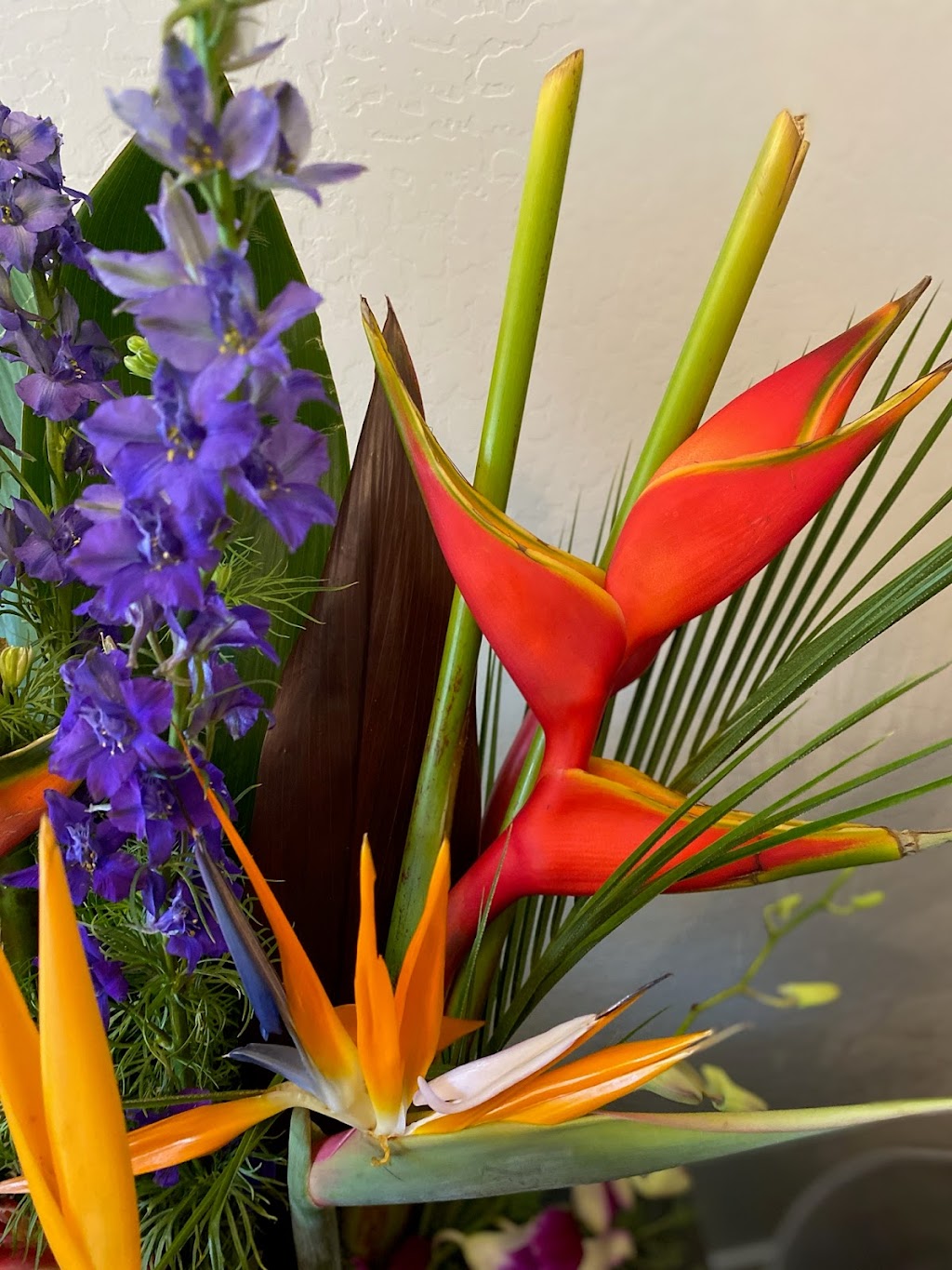 Pams Floral | 3326 E Marconi Ave, Phoenix, AZ 85032, USA | Phone: (602) 942-2892