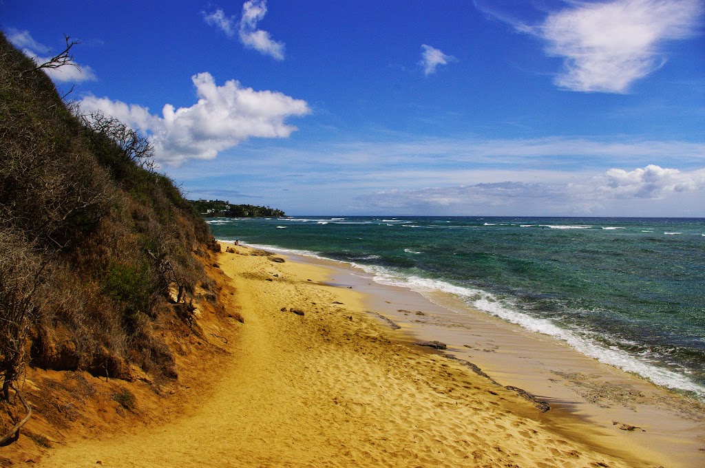 Diamond Head Beach Park | 3300 Diamond Head Rd, Honolulu, HI 96815, USA | Phone: (808) 768-3003