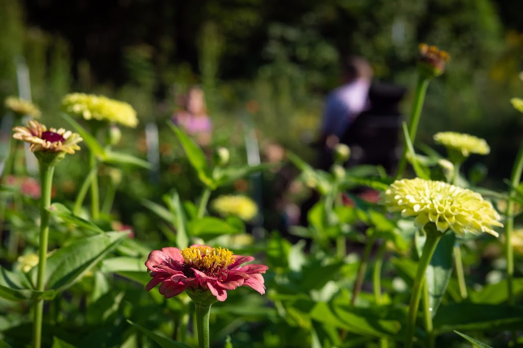 Wheels 2 Fields Flower Farm | 213 Pleasant Valley Estates Dr, Eureka, MO 63025, USA | Phone: (314) 258-2754