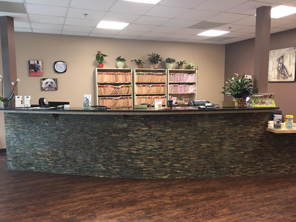 Spay Neuter Clinic of the Carolinas | 8045 Providence Rd #450, Charlotte, NC 28277, USA | Phone: (704) 542-9997