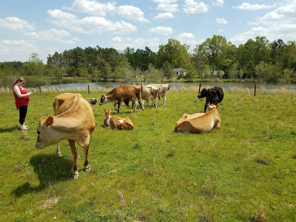 Bull City Farm | 5315 Isham Chambers Rd, Rougemont, NC 27572, USA | Phone: (919) 477-6684