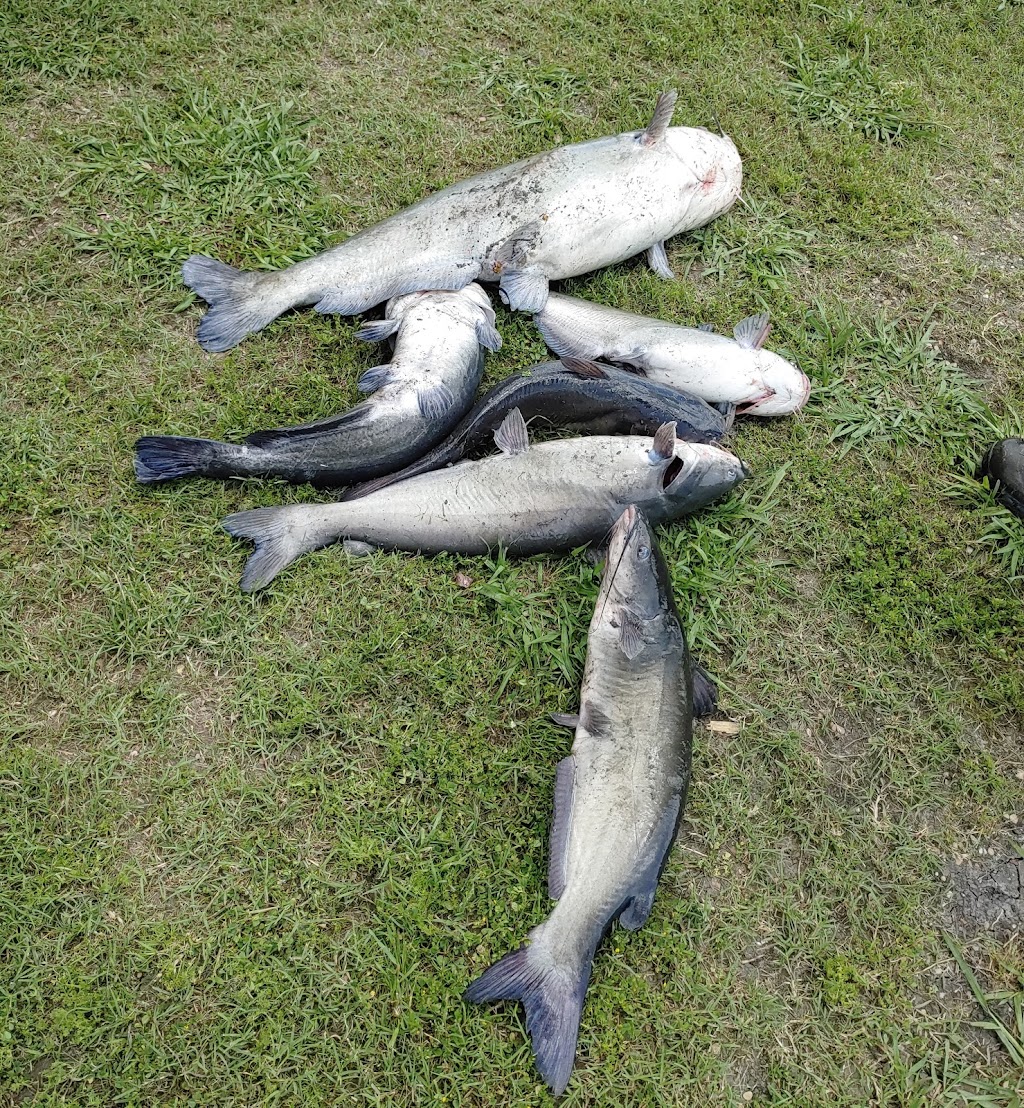 Texas Fishing LLC | 5490 FM 36, Caddo Mills, TX 75135, USA | Phone: (888) 976-9464