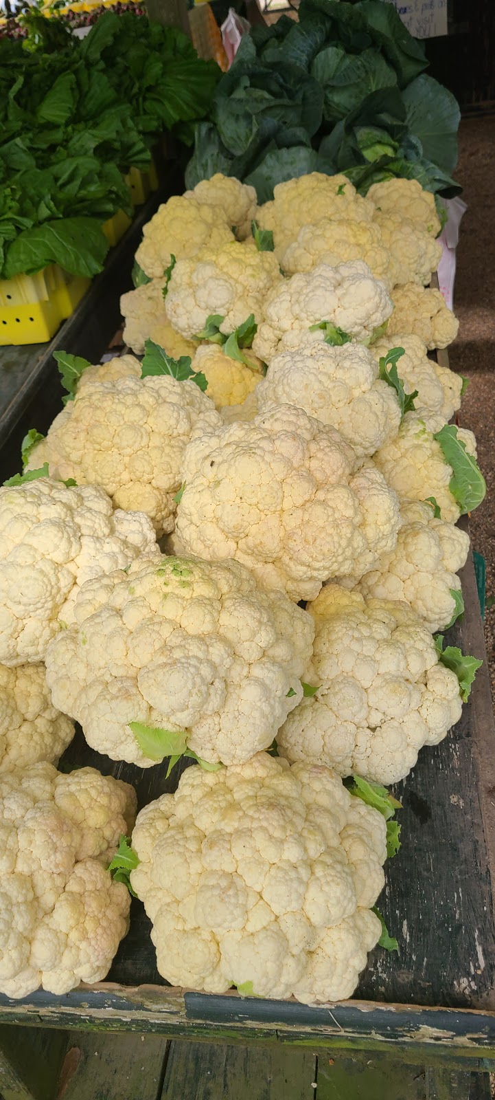 Glaser’s Produce Farm | Unnamed Road, New Roads, LA 70760, USA | Phone: (225) 618-9337