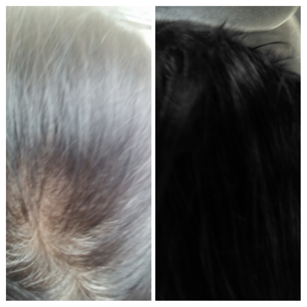 Fantastic Sams Cut & Color | 33000 W Seven Mile Rd, Livonia, MI 48152, USA | Phone: (248) 426-8588