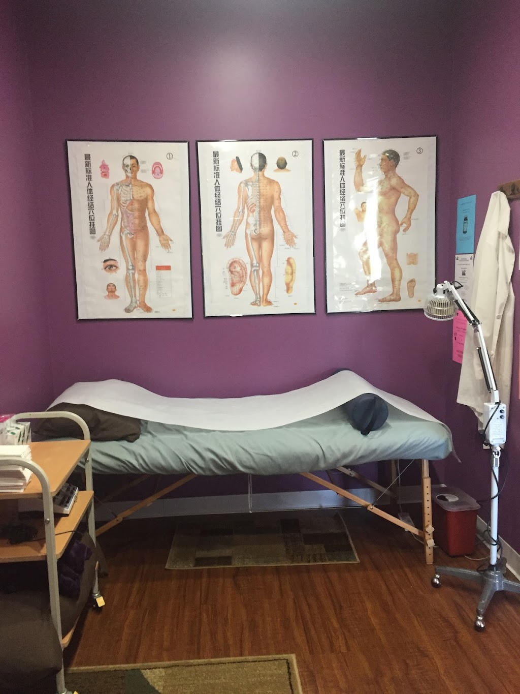 Acupuncture by Wan Qing-Cindy Zhang, M.S.Ac., L.Ac. | 10158 Niagara Falls Blvd, Niagara Falls, NY 14304, USA | Phone: (716) 298-0368