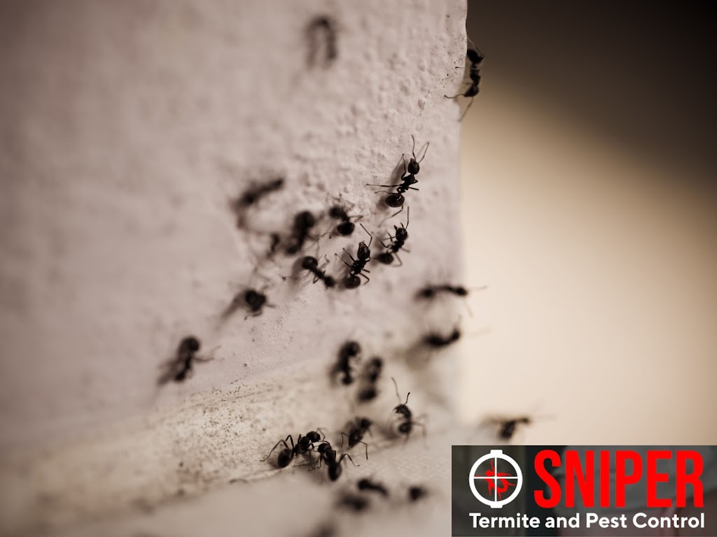 Sniper Termite and Pest Control Fort Worth | 1060 Cotton Depot Ln #642, Fort Worth, TX 76102, USA | Phone: (817) 497-8351