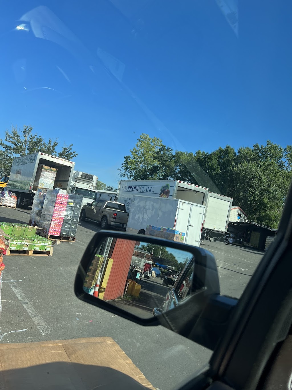 C.F. Produce Inc | 708 W Sam Allen Rd, Plant City, FL 33565, USA | Phone: (813) 659-3011