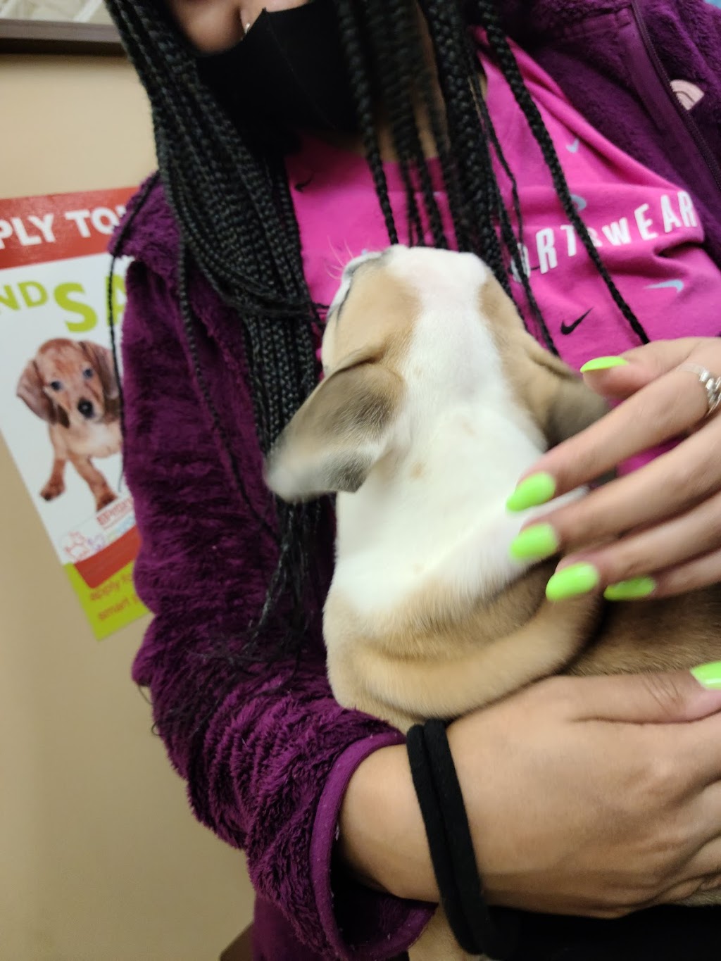 Petland Hilliard | 5253 Nike Station Way, Hilliard, OH 43026, USA | Phone: (614) 426-0121