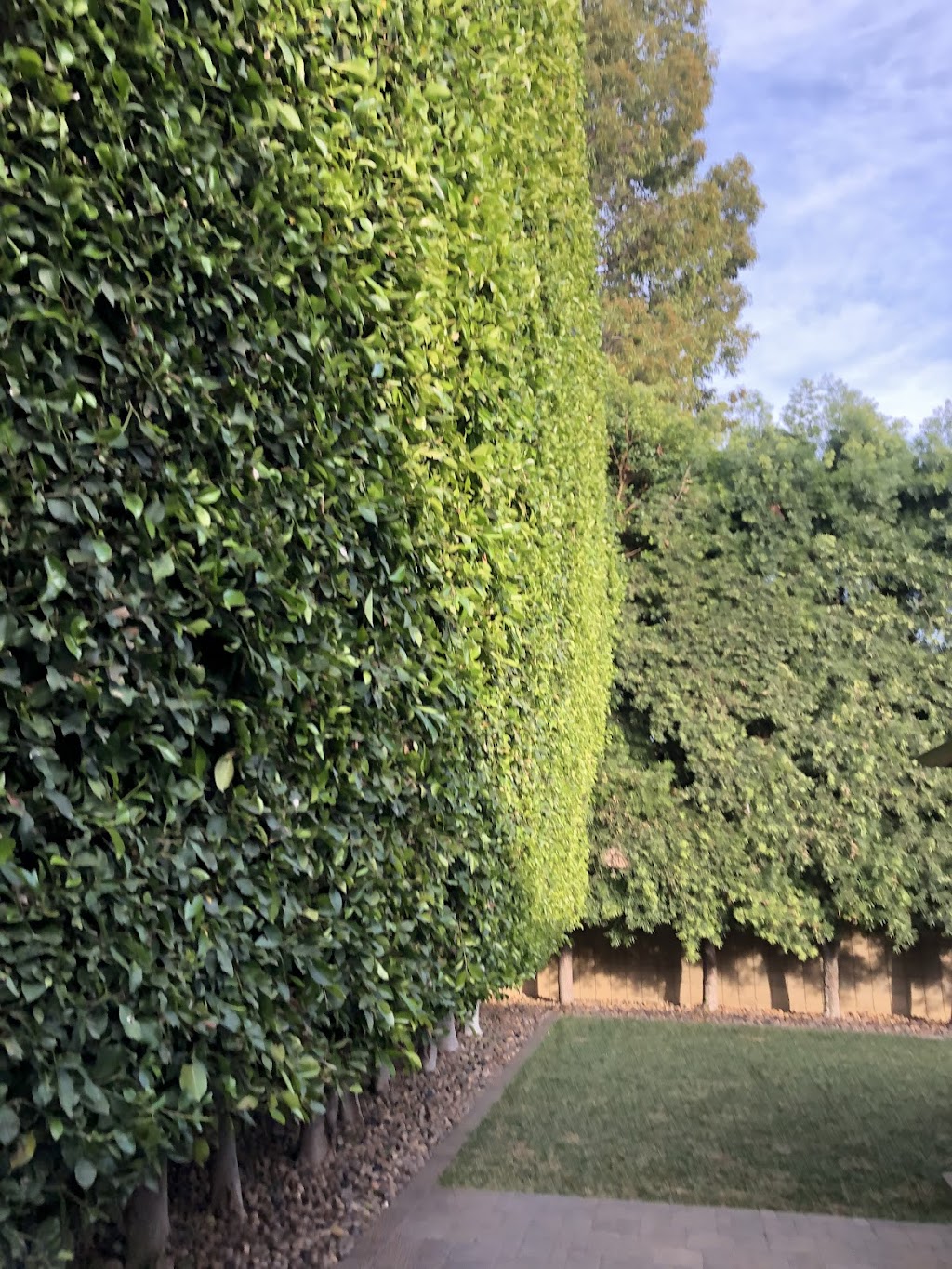 Felix landscaping & trees service maintenance | 870 Reeves Pl, Pomona, CA 91767, USA | Phone: (714) 866-1782