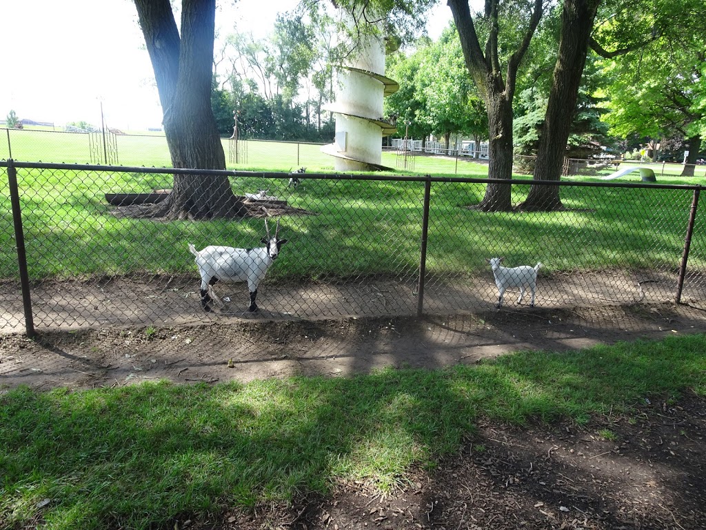 The Goats at Endres Manufacturing | 1 Billy Goat Ln, Waunakee, WI 53597, USA | Phone: (608) 850-4143