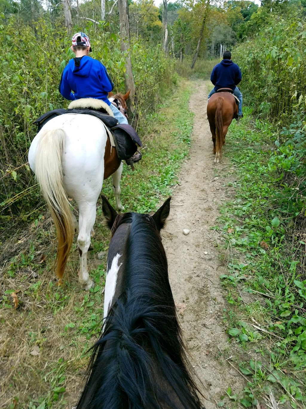 Salamonie Lake Horsemens Campground | Andrews, IN 46702, USA | Phone: (260) 468-2125