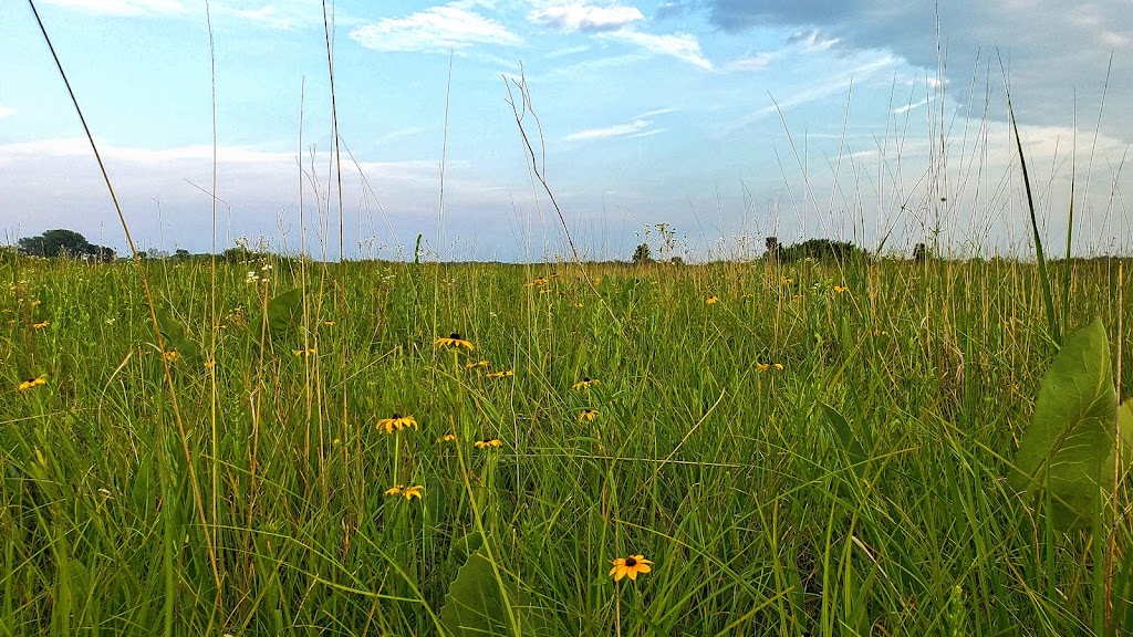 Snapper Prairie State Natural Area | W7480 Prairie Ln, Lake Mills, WI 53551, USA | Phone: (608) 255-2473