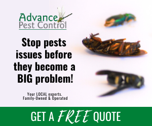 Advance Pest Control | 1628 US-1, Youngsville, NC 27596, USA | Phone: (919) 569-0555