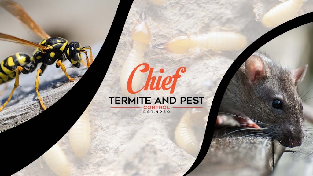 Chief Termite Services Inc | 5291 US Highway 51 N, Memphis, TN 38127, USA | Phone: (901) 358-1418