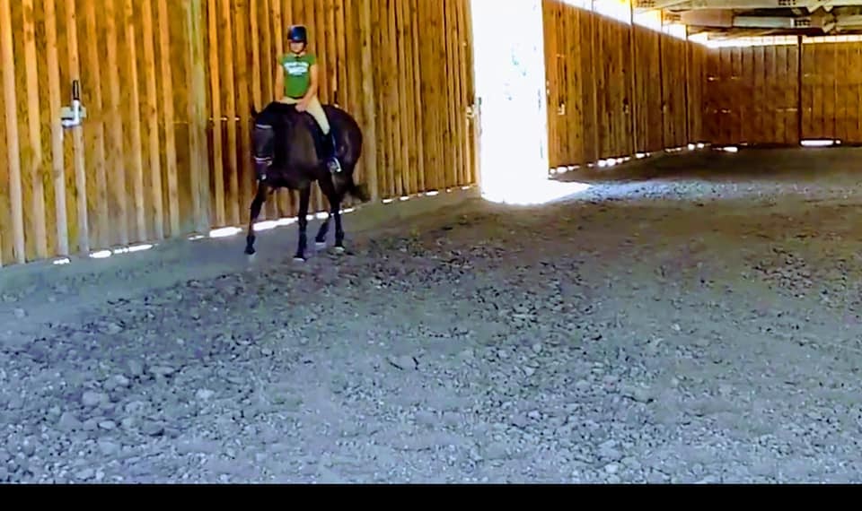 Equestrian Games Riding Academy | 17601 Marsh Creek Rd, Brentwood, CA 94513, USA | Phone: (510) 313-3171