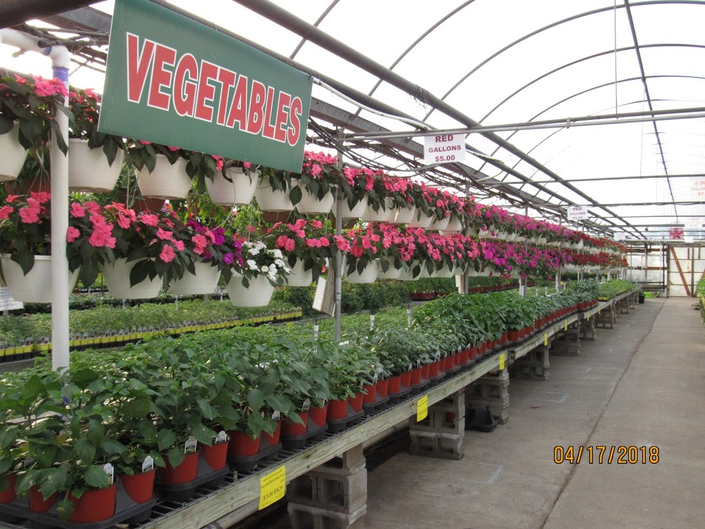 Wiethop Greenhouses | 2463 Barrett Station Rd, Ballwin, MO 63021 | Phone: (314) 821-2598