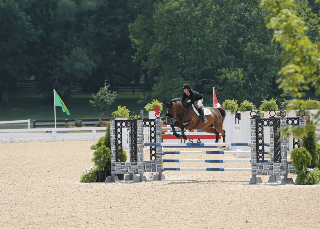 Lancaster Hill Stables | 8696 Co Rd 133, Celina, TX 75009, USA | Phone: (719) 353-7850