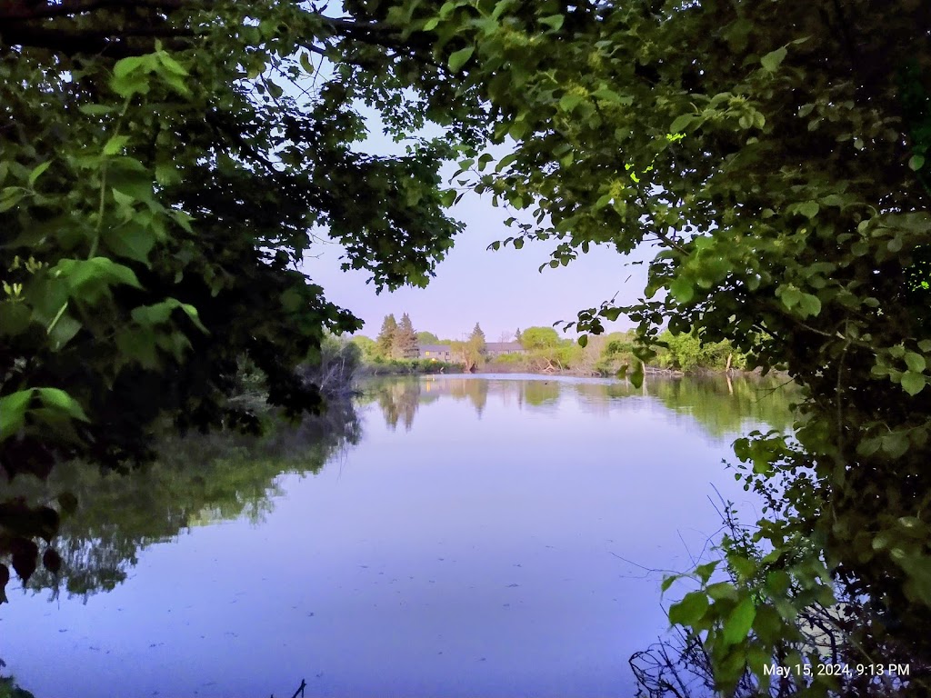 MDOT Carpool Parking Lot Ann Arbor NW | 3001 Miller Rd, Ann Arbor, MI 48103, USA | Phone: (734) 973-6500