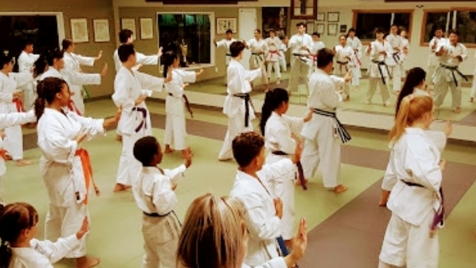 Washington Karate Lakewood Dojo | 5610 75th St W, Lakewood, WA 98499, USA | Phone: (253) 589-6924