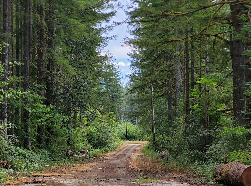 Palouse to Cascades State Park Trail - Cedar Falls Trailhead | North Bend, WA 98045, USA | Phone: (206) 625-1367