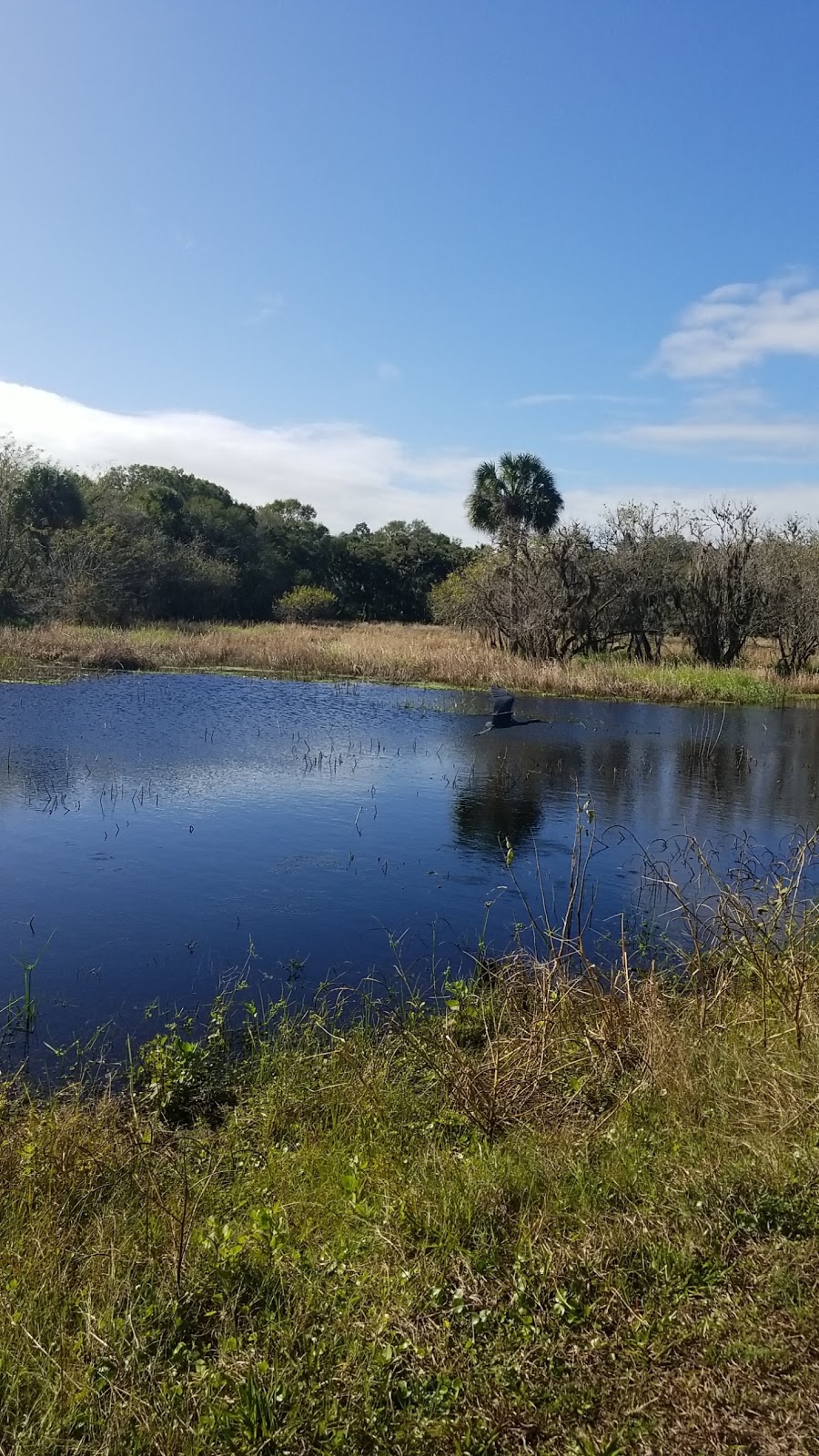 Old Prairie Campground | Sarasota, FL 34241, USA | Phone: (941) 361-6511