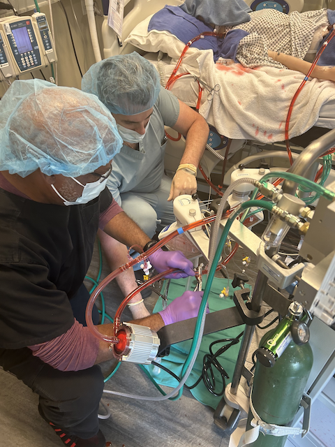 Ecmo Advantage | 2610 Merchants Walk, Murfreesboro, TN 37128, USA | Phone: (615) 556-5578