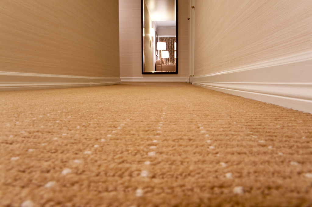 A Clean Carpet Co Inc | 5531 Freeland Ave Lower Suite #1, Freeland, WA 98249, USA | Phone: (360) 321-0585