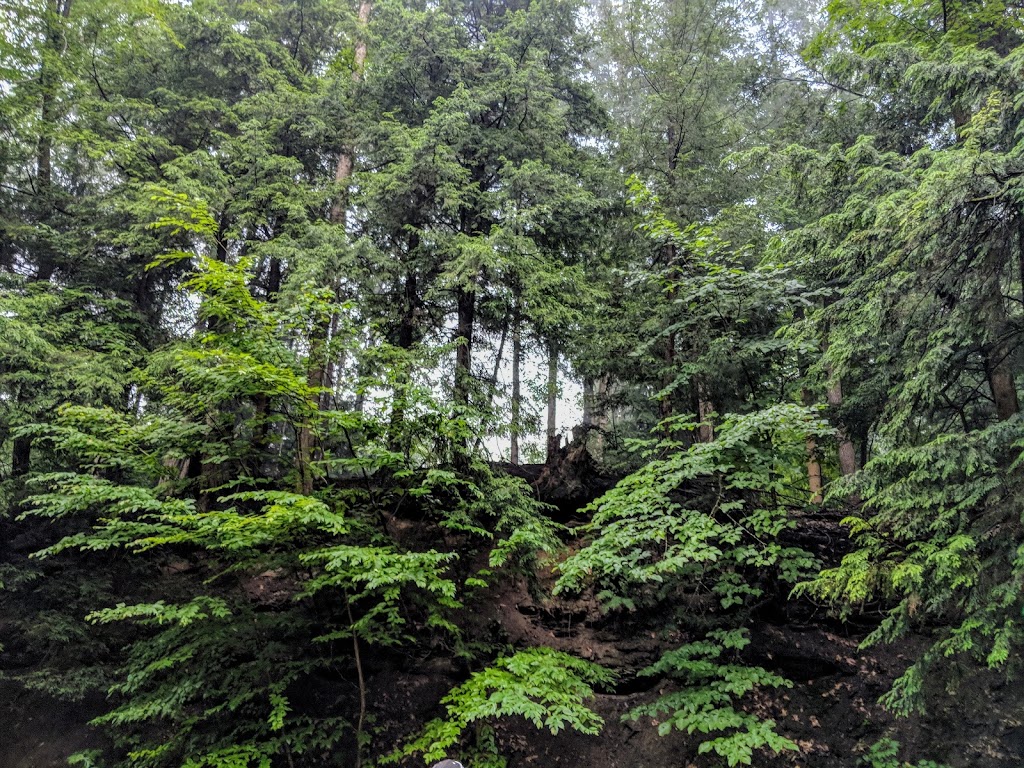 Kenneglenn Scenic and Nature Preserve | 11663 Strykersville Rd, East Aurora, NY 14052, USA | Phone: (716) 687-1225