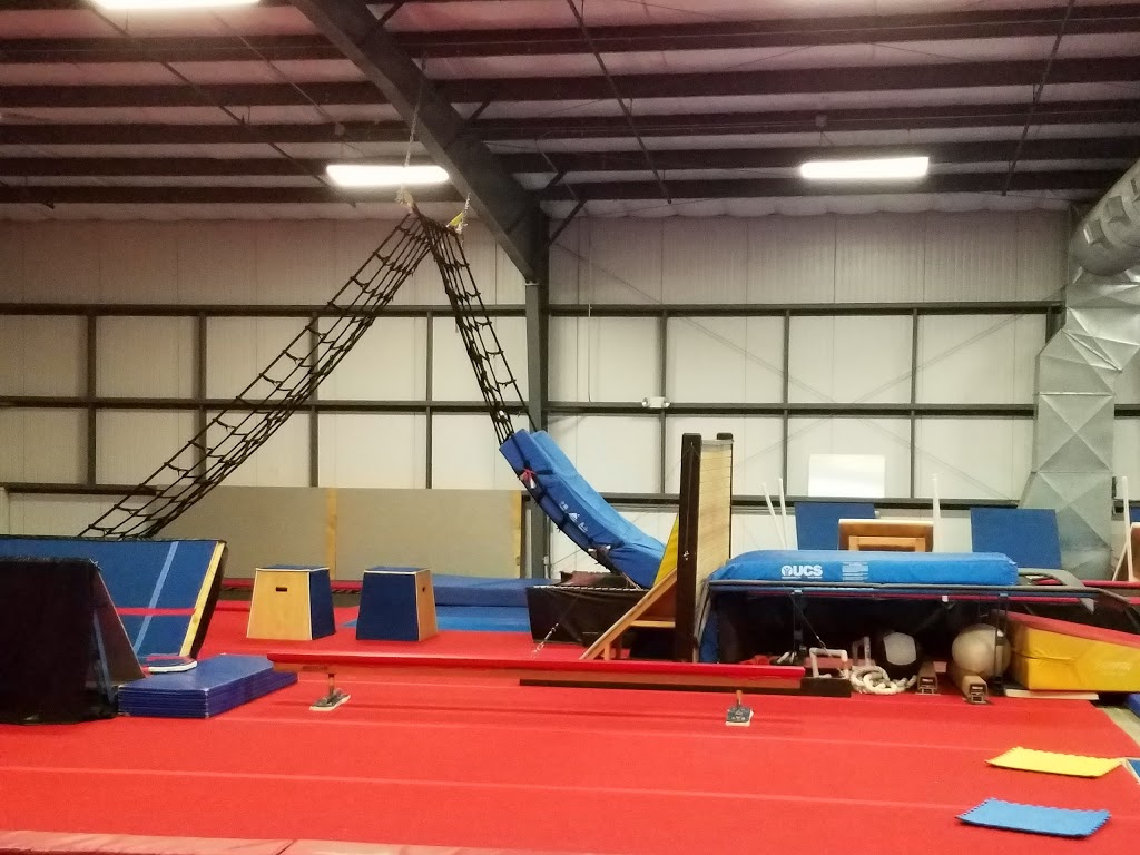 Midwest Twisters | 6104 N Illinois St, Fairview Heights, IL 62208, USA | Phone: (618) 628-3553