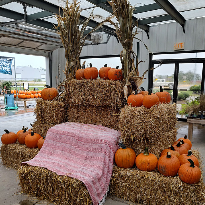 Earl May Garden Center | 4444 Howard Blvd, Columbus, NE 68601, USA | Phone: (402) 564-0622