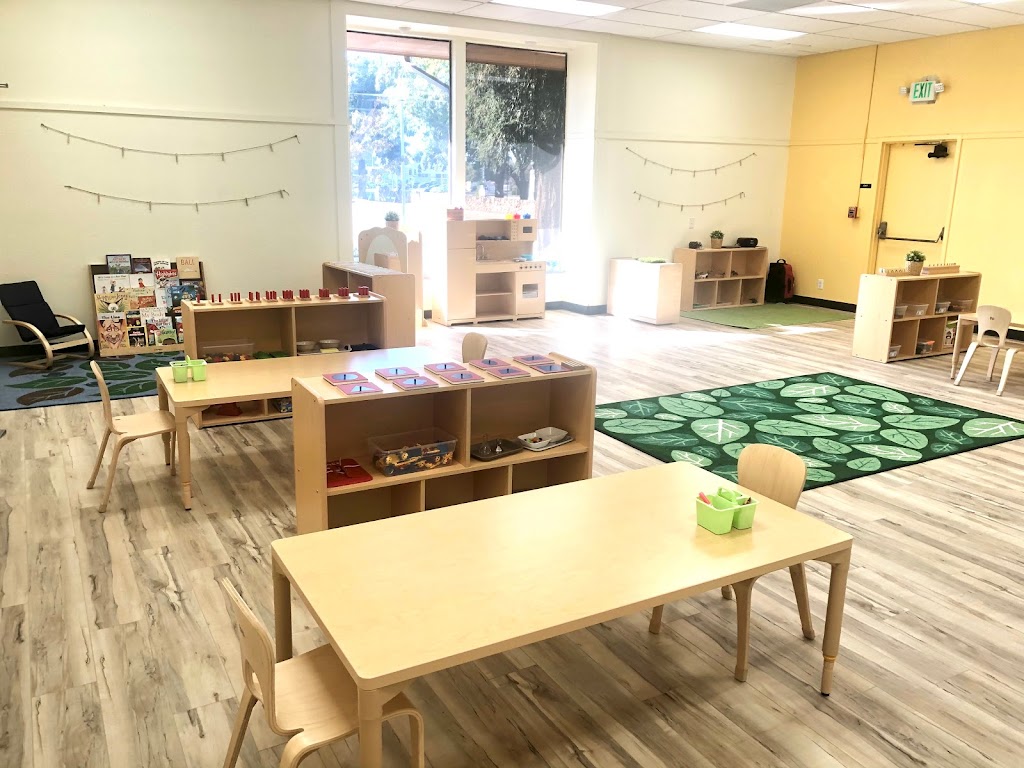 Safari Kid Montessori - Irvington | 41811 Blacow Rd, Fremont, CA 94538, USA | Phone: (510) 573-4871