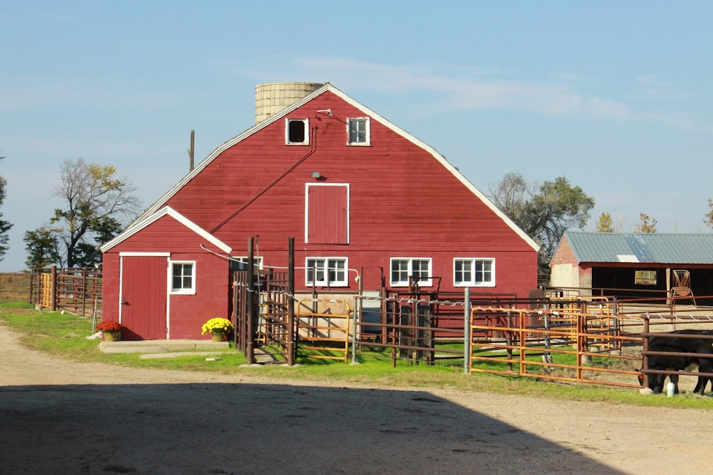 Buffalo Farms | 5535 Co Rd 23, Fort Lupton, CO 80621, USA | Phone: (303) 638-8821