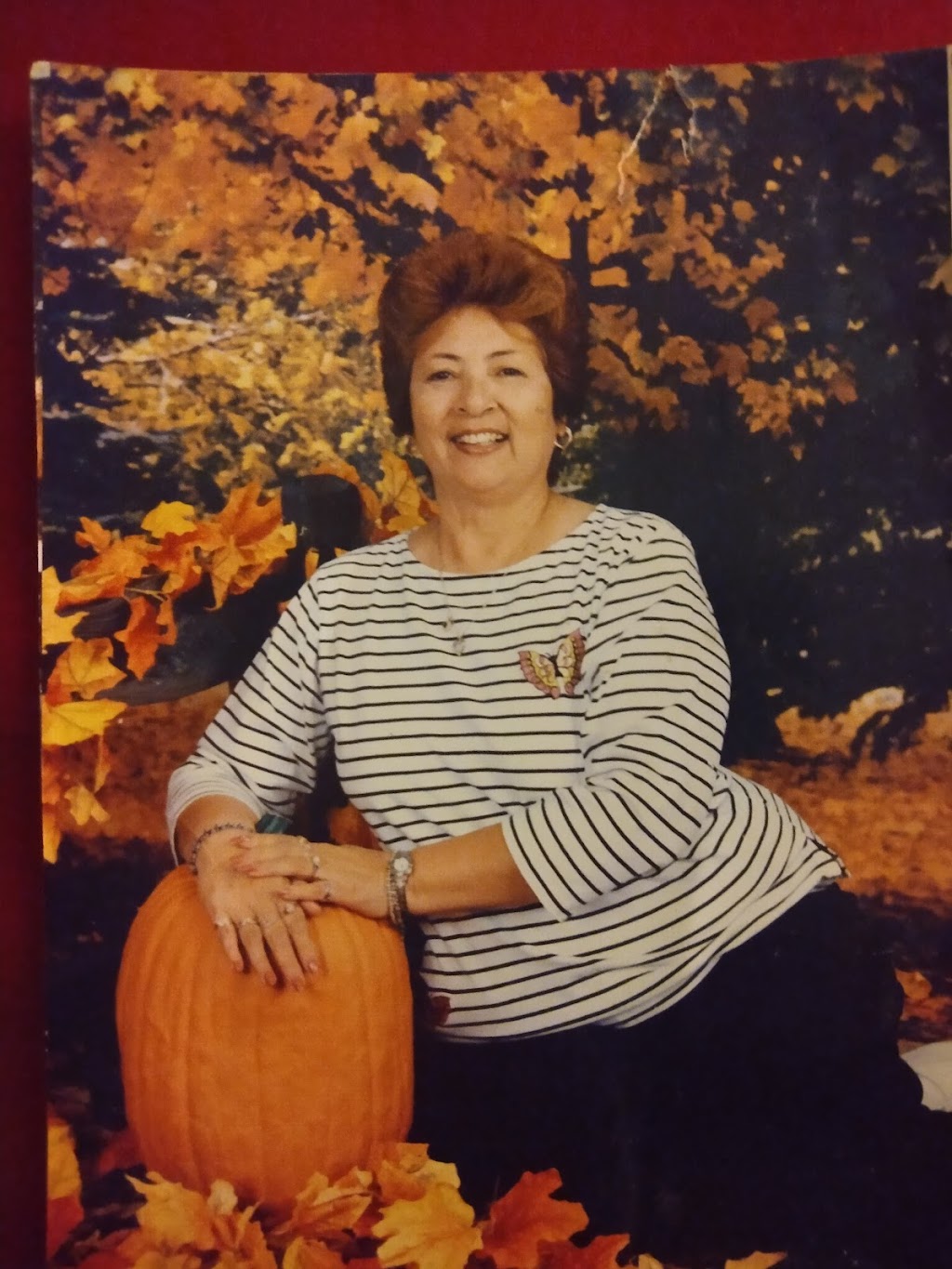 Primo Food Mart | 139 Castroville Rd, San Antonio, TX 78207, USA | Phone: (210) 431-2622