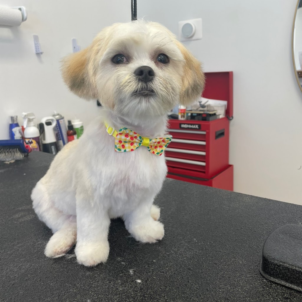 Pecas Grooming & Boarding | 4028 S Orlando Dr, Sanford, FL 32773, USA | Phone: (407) 371-9544