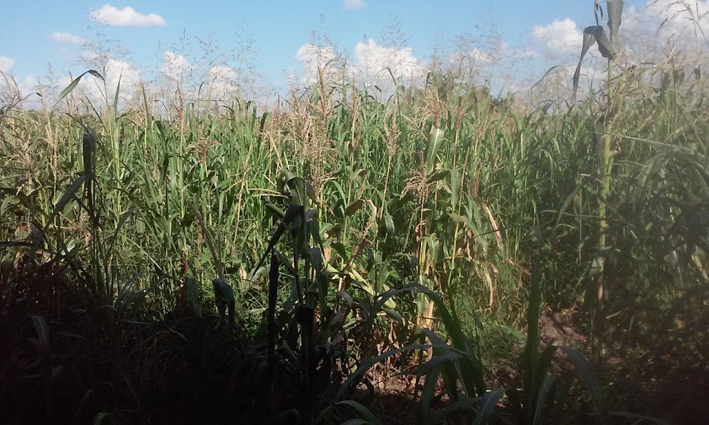 Universal Truckload Services Inc | 915 Knight St, Corsicana, TX 75110, USA | Phone: (903) 875-1855